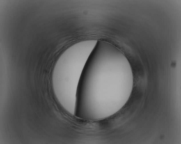 X0000096700599200802051103