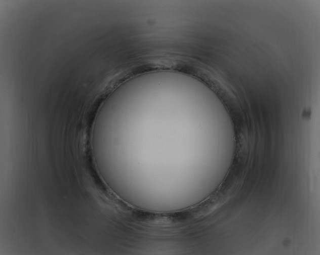 X0000096700600200802051103