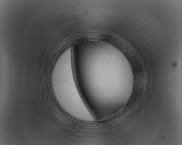 X0000096700601200802051103