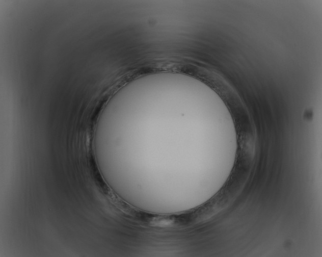 X0000096700602200802051103