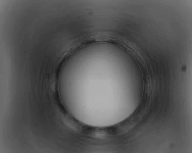 X0000096700604200802051103