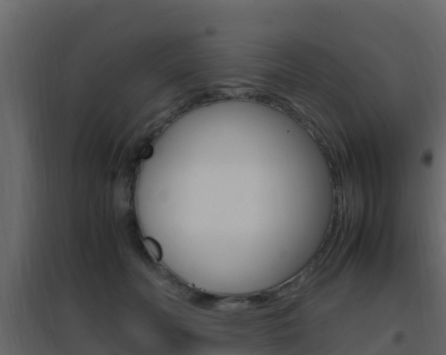 X0000096700606200802051103