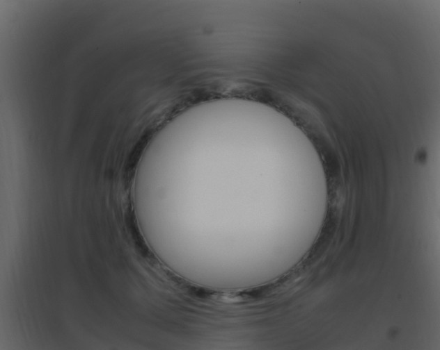 X0000096700607200802051103