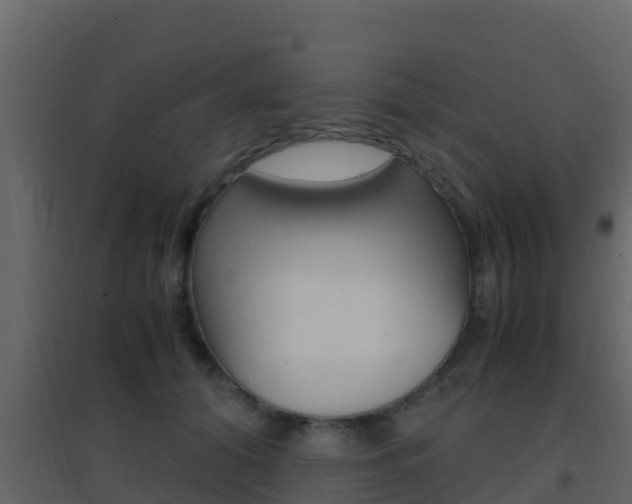 X0000096700608200802051103