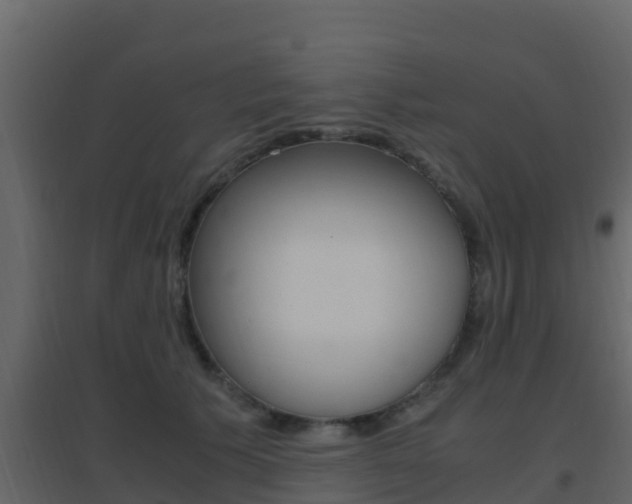 X0000096700609200802051103