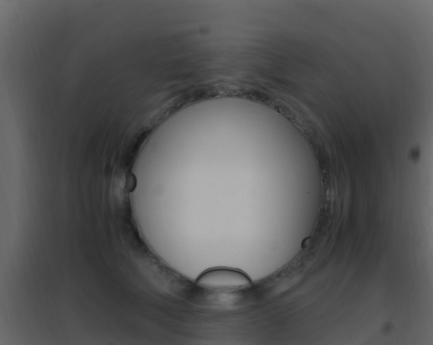 X0000096700610200802051103