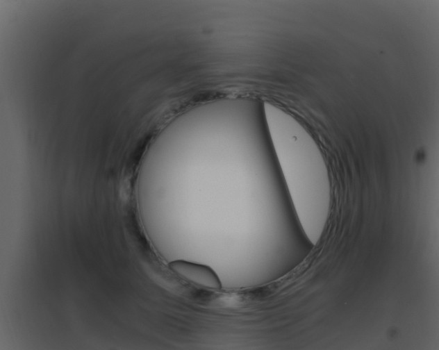 X0000096700611200802051103