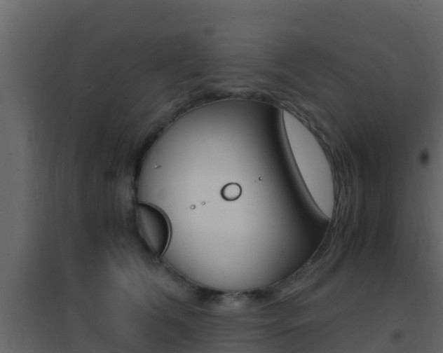 X0000096700612200802051103