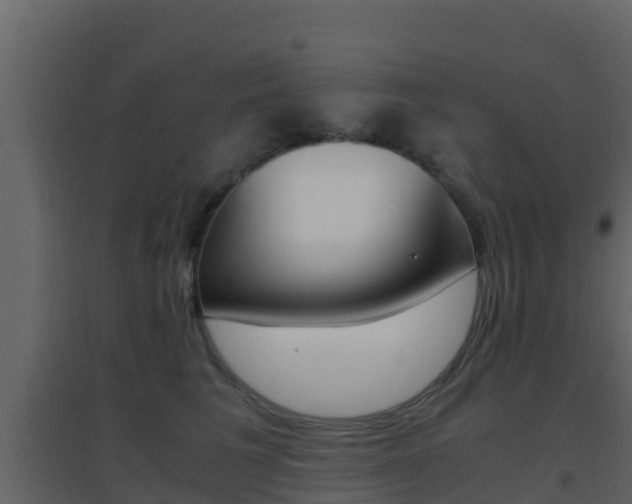 X0000096700613200802051103