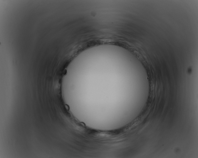 X0000096700614200802051103