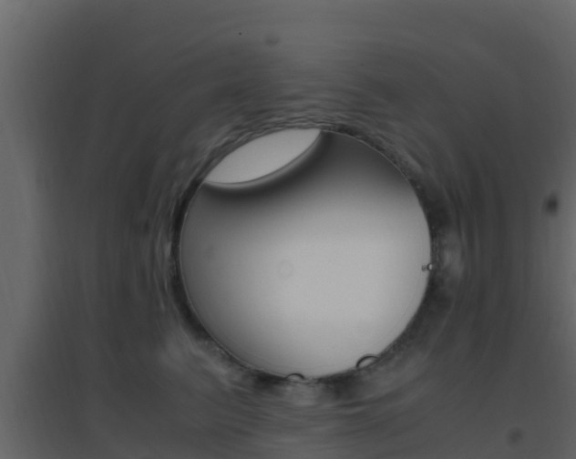 X0000096700615200802051102