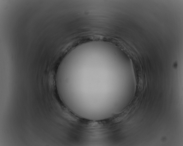 X0000096700616200802051102