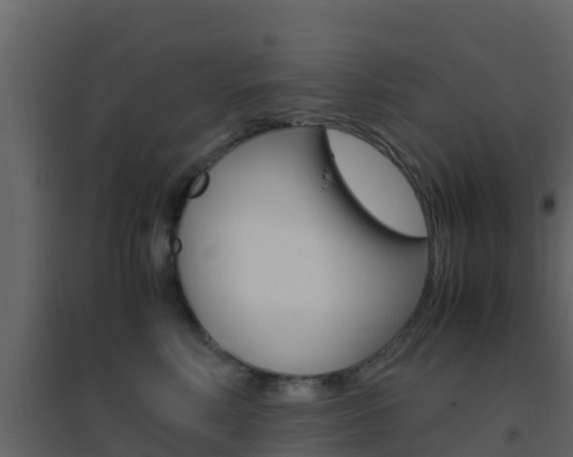 X0000096700618200802051102