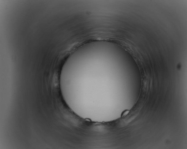 X0000096700620200802051102