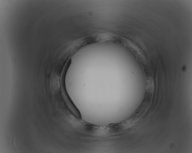X0000096700621200802051102
