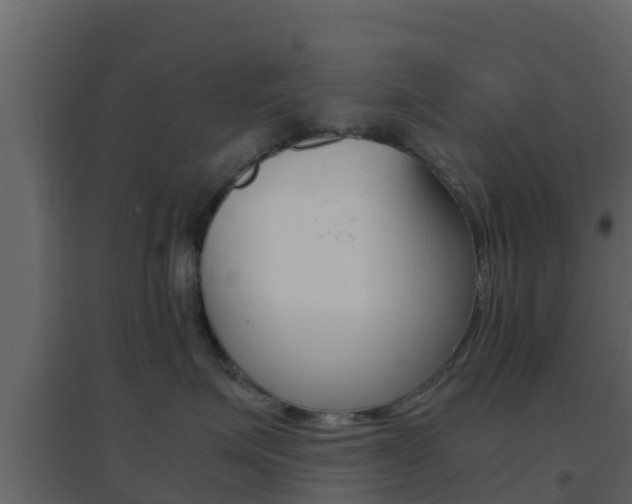 X0000096700623200802051102