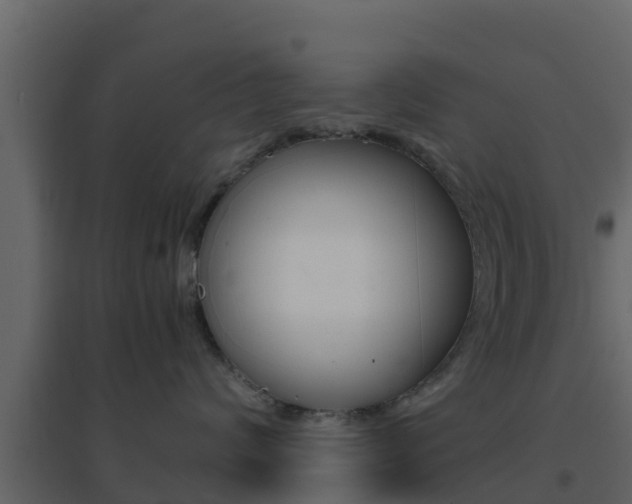 X0000096700624200802051102