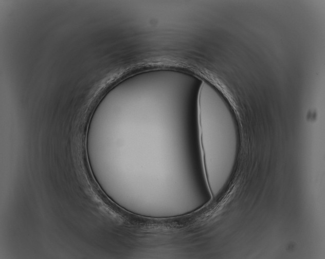 X0000096700625200802051102