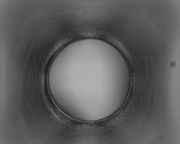 X0000096700626200802051102