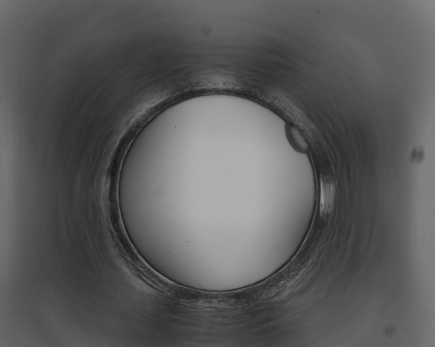 X0000096700627200802051102