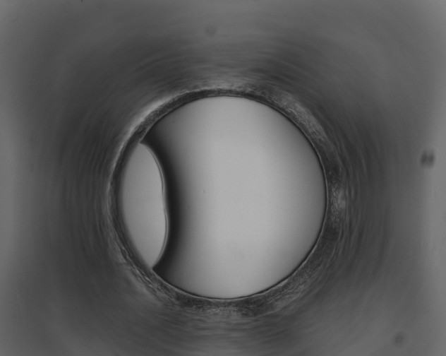 X0000096700628200802051102