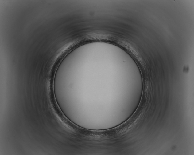 X0000096700629200802051102