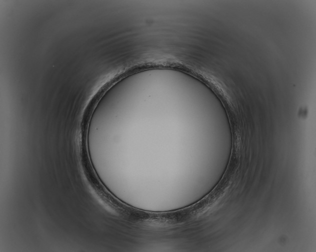 X0000096700630200802051102