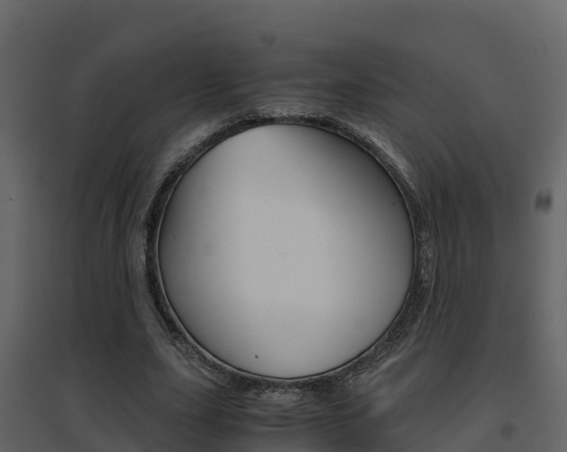 X0000096700631200802051102