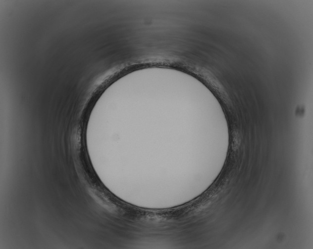 X0000096700632200802051102