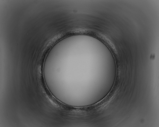 X0000096700633200802051102