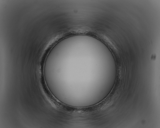 X0000096700634200802051102
