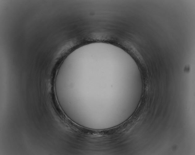 X0000096700635200802051102