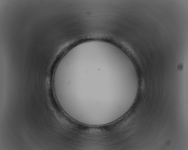 X0000096700636200802051102