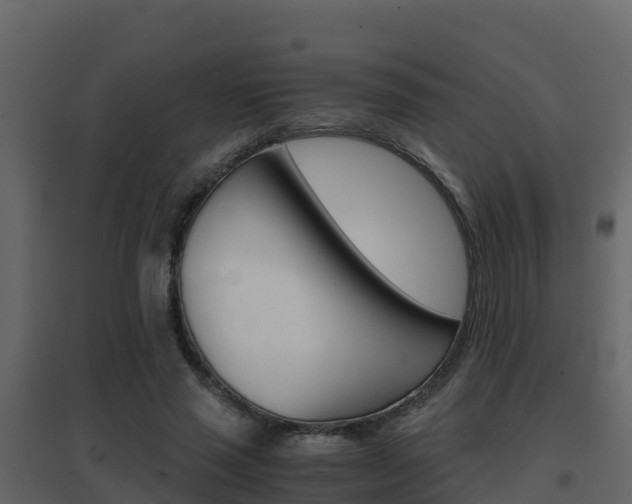 X0000096700637200802051102