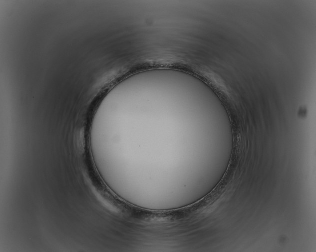 X0000096700638200802051102