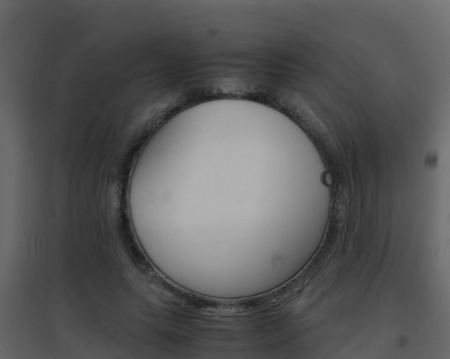 X0000096700639200802051102