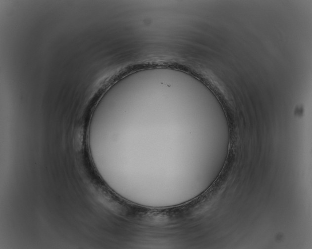 X0000096700640200802051102