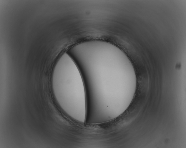 X0000096700642200802051102