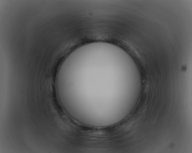 X0000096700643200802051102