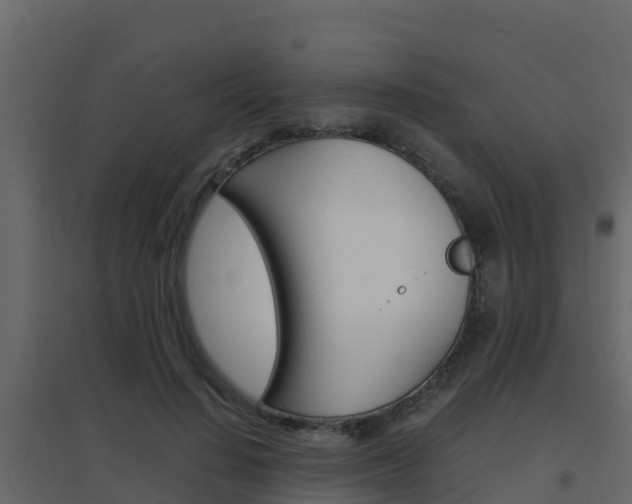 X0000096700644200802051102