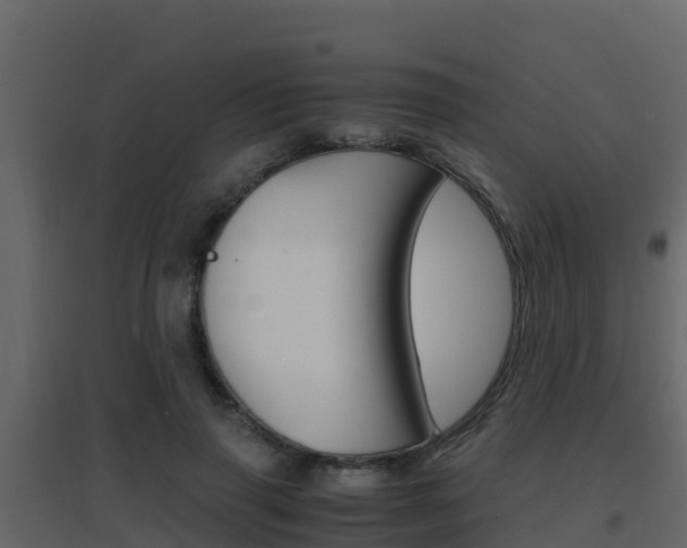 X0000096700645200802051102