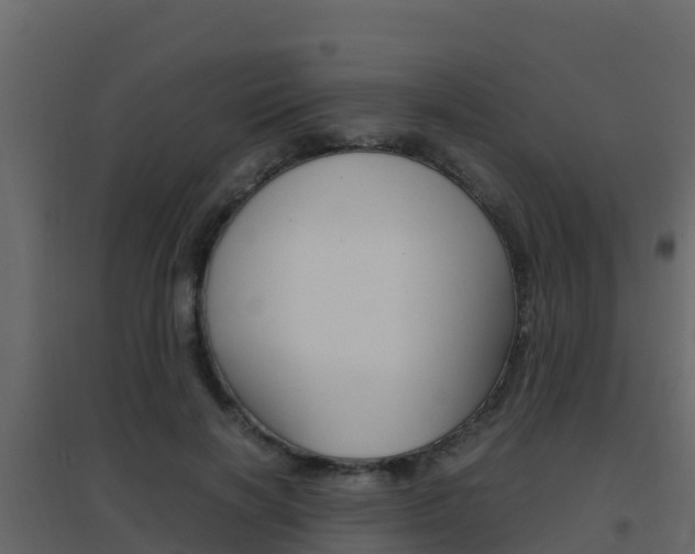 X0000096700646200802051102