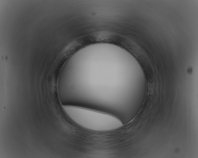 X0000096700648200802051102