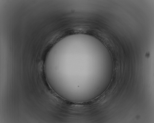 X0000096700649200802051102