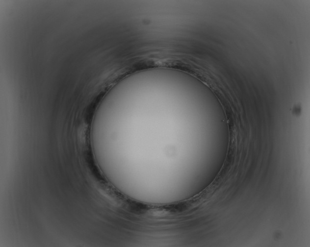 X0000096700650200802051102