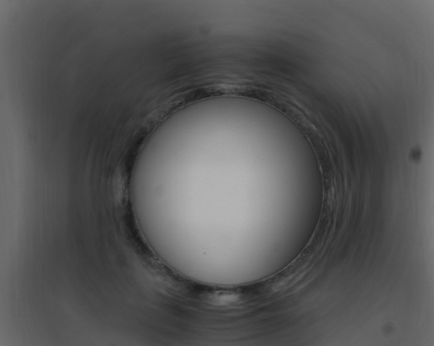 X0000096700651200802051102