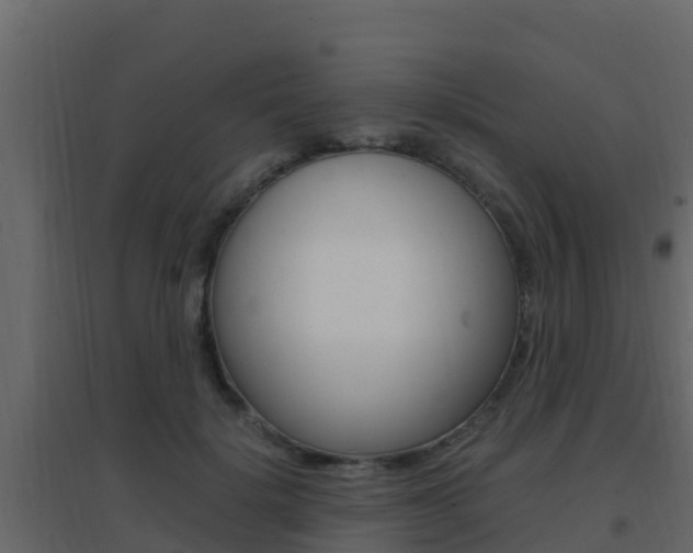 X0000096700652200802051102
