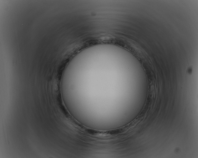 X0000096700654200802051102