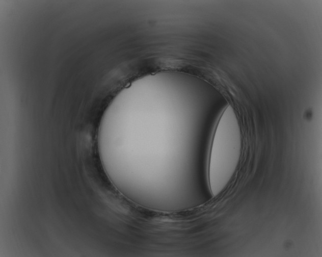 X0000096700655200802051102