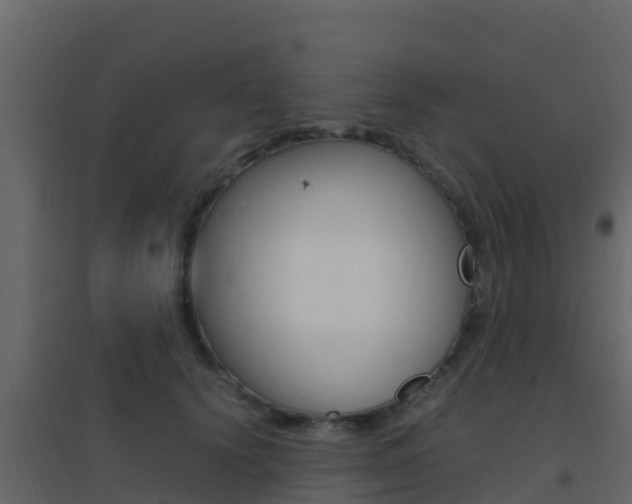 X0000096700656200802051102